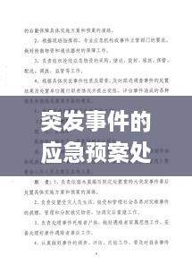 突发事件的应急预案处理范畴，全面应对，保障安全