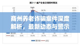 商州养老诈骗案件深度解析，最新动态与警示分析报告
