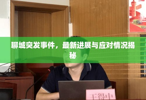 聊城突发事件，最新进展与应对情况揭秘