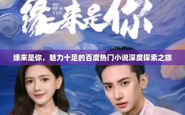 缘来是你，魅力十足的百度热门小说深度探索之旅