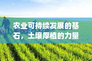 农业可持续发展的基石，土壤厚植的力量