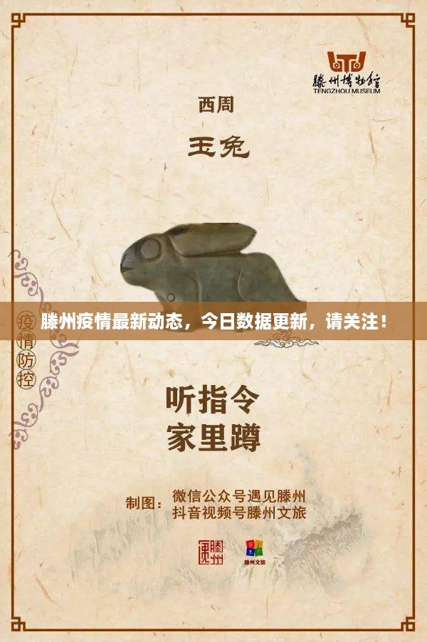滕州疫情最新动态，今日数据更新，请关注！