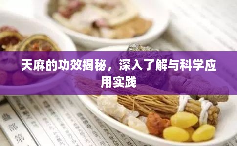 天麻的功效揭秘，深入了解与科学应用实践
