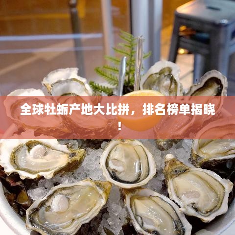 全球牡蛎产地大比拼，排名榜单揭晓！