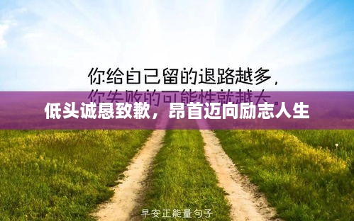 低头诚恳致歉，昂首迈向励志人生