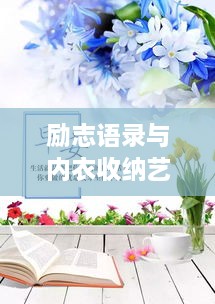 励志语录与内衣收纳艺术，生活有序，心灵充实之道