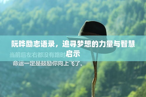 阮晔励志语录，追寻梦想的力量与智慧启示
