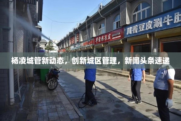 杨凌城管新动态，创新城区管理，新闻头条速递