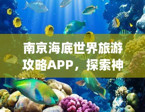 南京海底世界旅游攻略APP，探索神秘海底世界的完美指南！