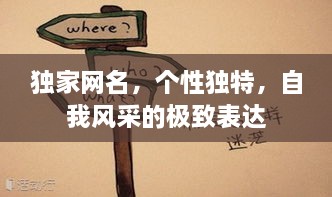 独家网名，个性独特，自我风采的极致表达
